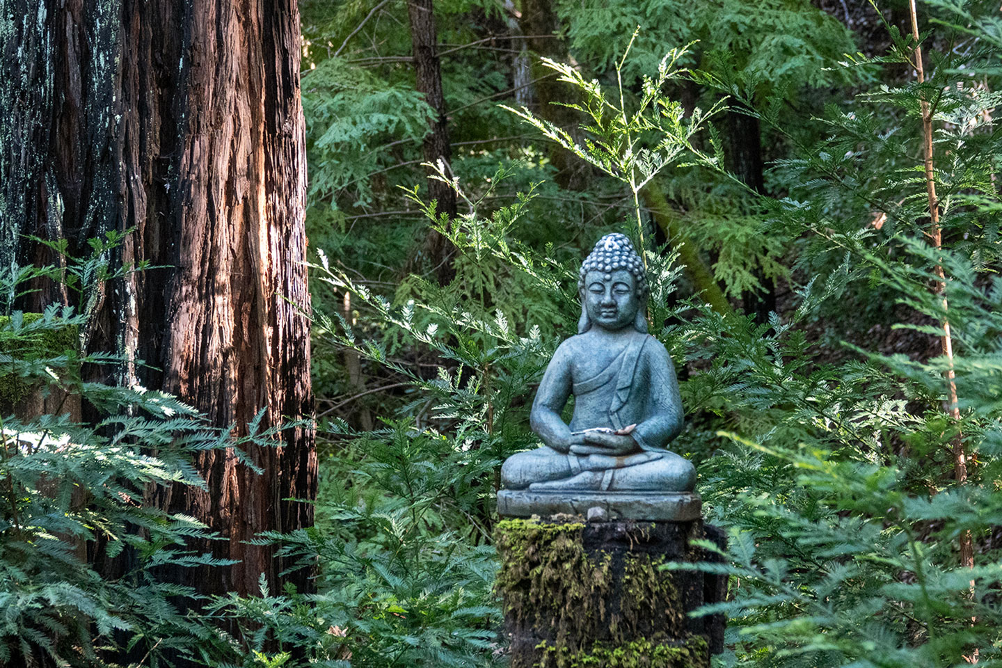 BUDDHA-1-DSC04557-WEB