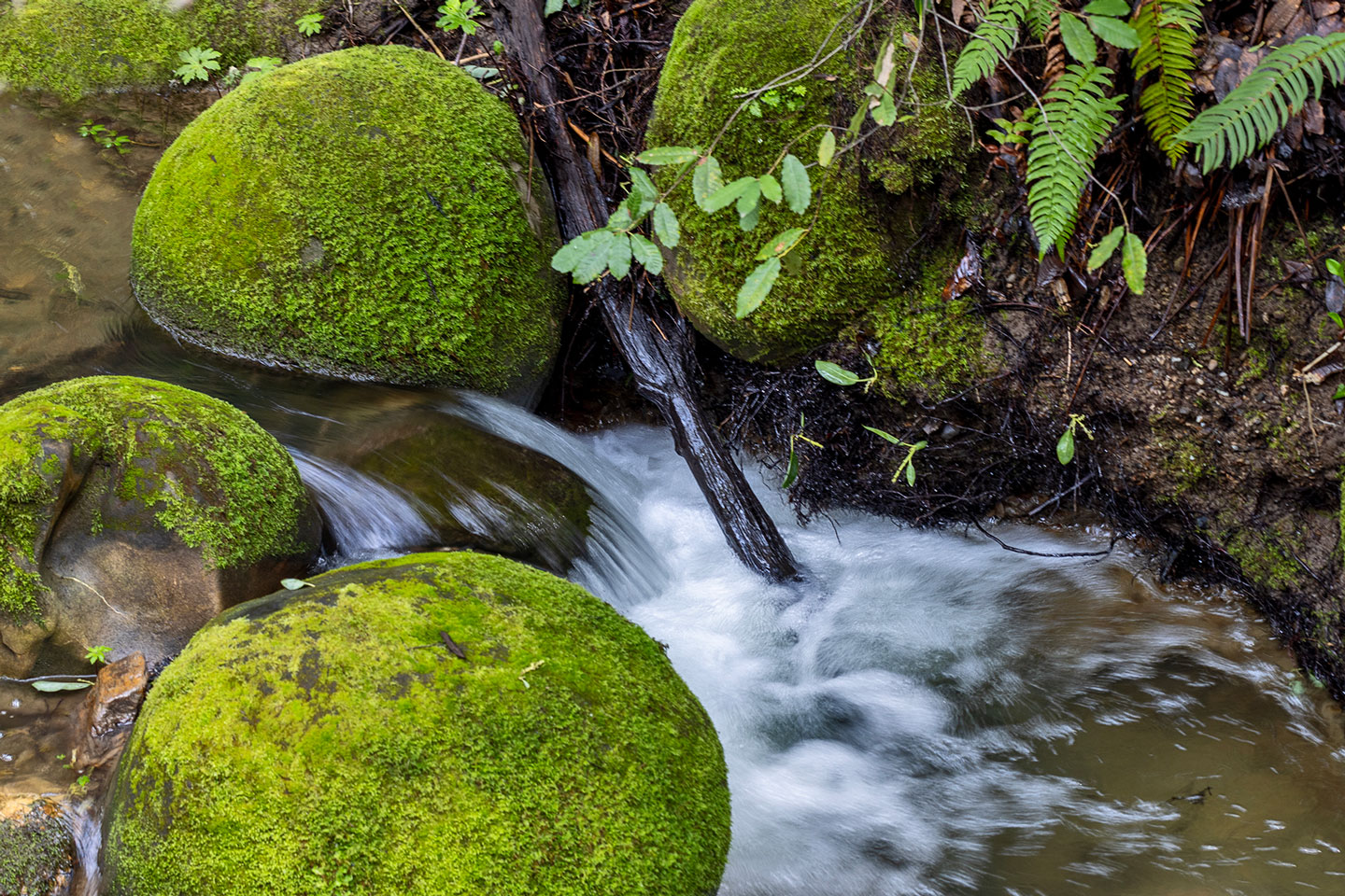 CREEK-1-333A3691-WEB